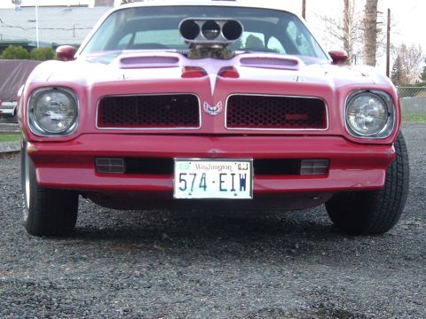 1976 Pontiac Firebird photo