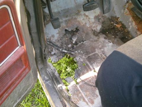 1986 Ford Bronco - The interior of a vehicle shows significant rust and damage to the floorboards, with plants growing through.