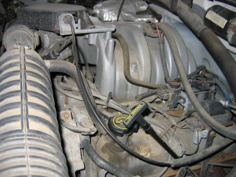 1995 Ford Bronco - Close-up view of a vehicle's engine bay, focusing on the oil cap and dipstick.