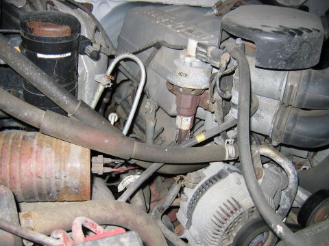 1995 Ford Bronco - Close-up view of an engine bay, showing various components including the fuel pressure regulator and alternator.
