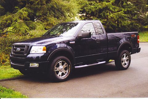 2004 Ford F-150