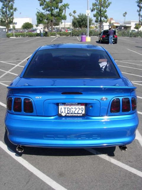 1998 Ford Crown Victoria - Rear view of a blue 1998 Ford Mustang Cobra SVT in a parking lot, showing its distinctive taillights and spoiler.