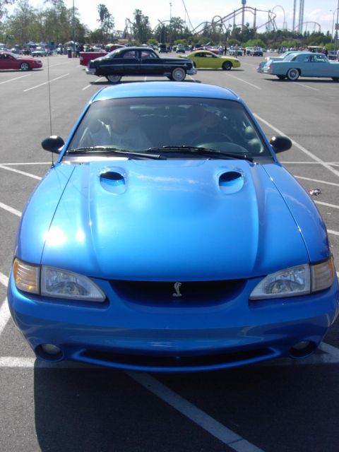 1998 Ford Crown Victoria - A blue Ford Mustang Cobra is parked in a lot with other cars and a roller coaster in the background.