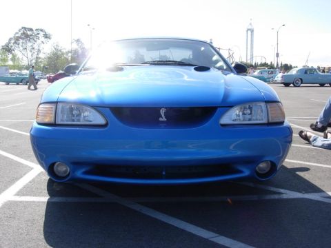 1998 Ford Crown Victoria - A blue coupe with a cobra emblem on the grille is parked in a lot with other vehicles.