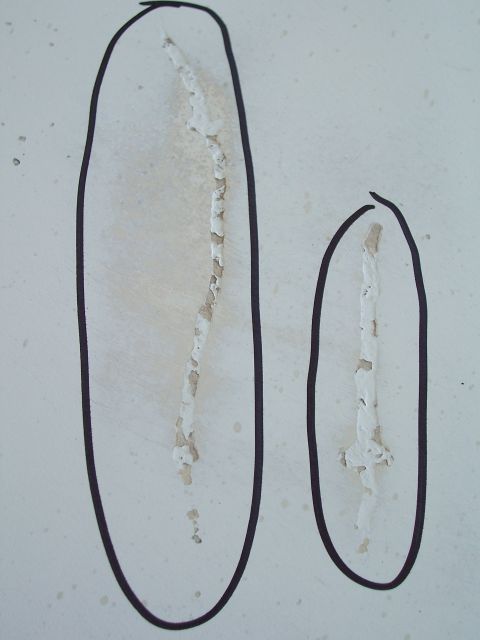 1978 Ford Bronco - The photo shows two areas of cracked paint, one larger than the other, highlighted with black outlines.