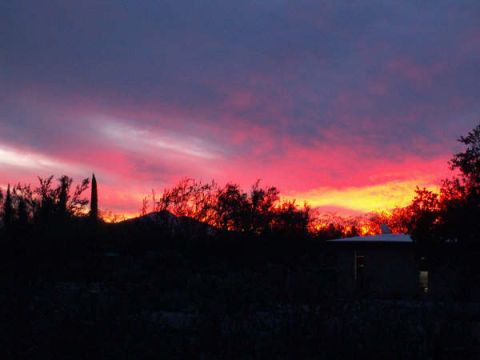 1995 Ford Probe - Vibrant sunset paints the sky over a desert landscape with silhouetted trees and a small building.