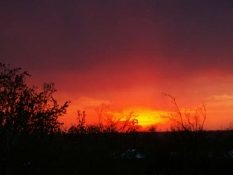1995 Ford Probe - Dramatic sunset paints the sky with fiery colors over a dark, silhouetted landscape.