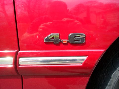 1995 Ford Crown Victoria - Close-up of a red car's "4.6" engine displacement emblem and a chrome trim strip.