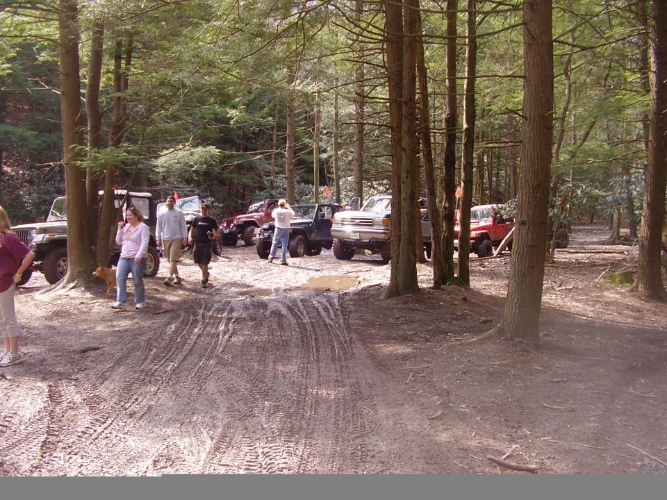 Several off-road vehicles parked in a dirt lot surrounded by trees. People are standing around some of the vehicles