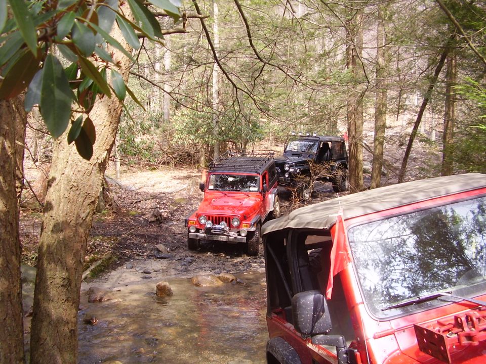 Three Jeep Wranglers driving on a muddy trail in the woods. One red Jeep is in the foreground, another red Jeep is in the middle, and a black Jeep is behind it