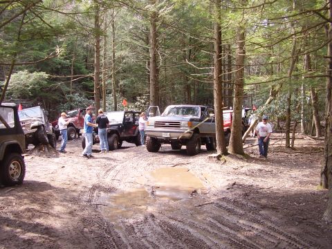 2003 Jeep Wrangler - A group of off-road vehicles are gathered in a wooded area with muddy terrain and rutted terrain.