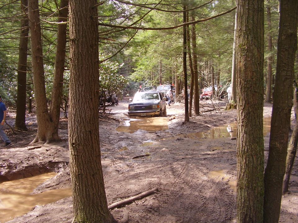 Muddy off-road vehicles navigating a water-filled forest trail