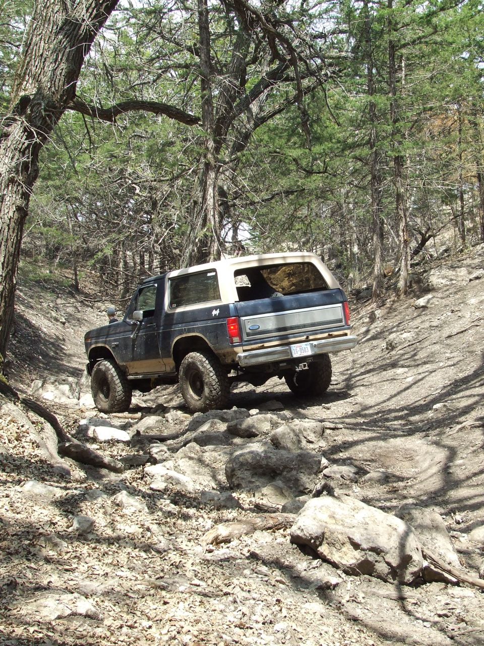 1986 Ford Bronco on rocky trail, rear view
