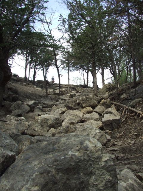 1986 Ford Bronco - A person sits on a rocky slope surrounded by trees, with a wide view of the terrain.
