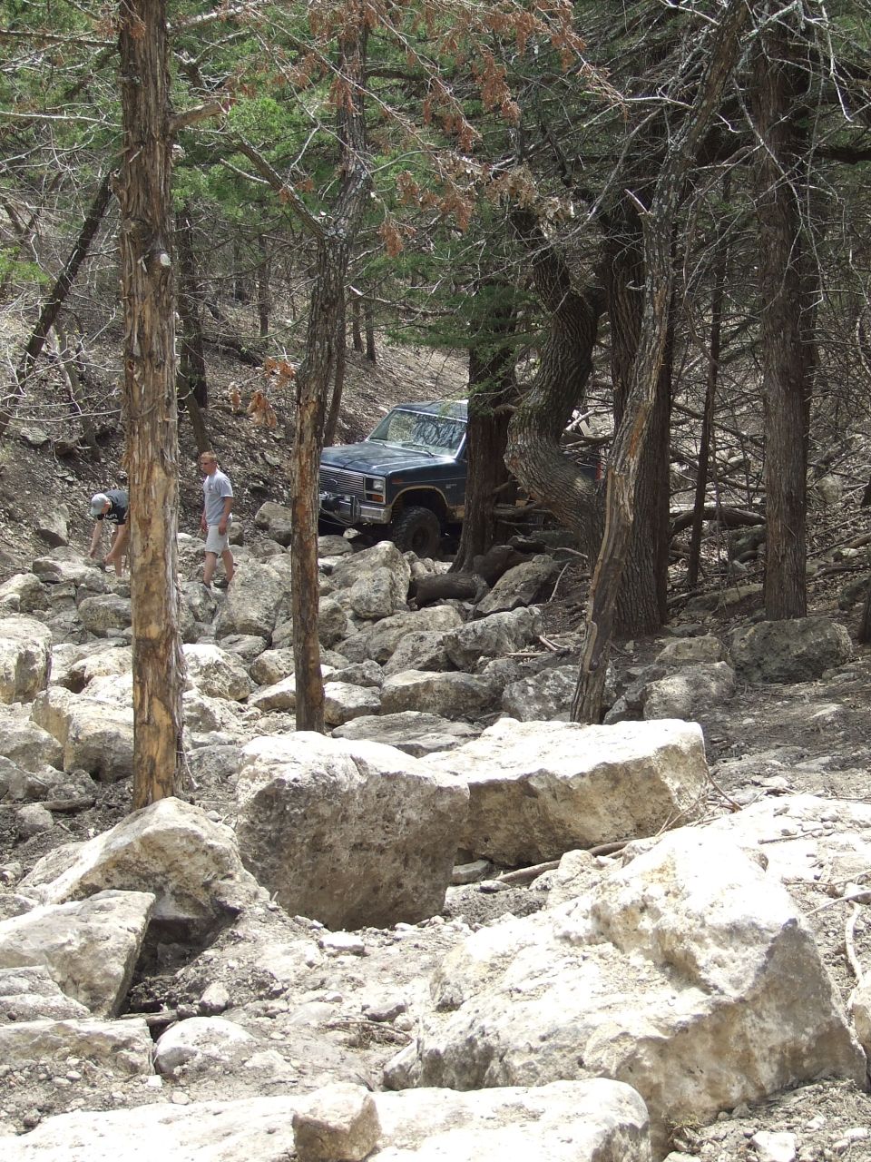 Dark blue SUV navigating a rocky, wooded trail