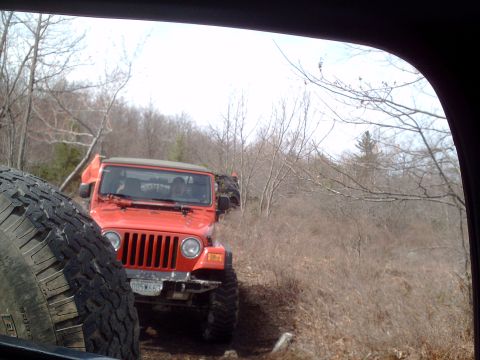 1991 Ford Bronco - Several Jeeps navigate a wooded trail during an off-road excursion.