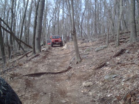 1991 Ford Bronco - Two red Jeep Wranglers navigate a wooded trail during daylight.