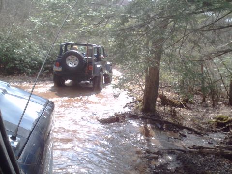 1991 Ford Bronco - Two Jeep Wranglers navigate a muddy path through a dense forest.