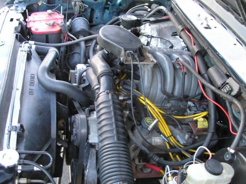 1994 Ford Bronco - Close-up view of a V8 engine bay, yellow spark plug wires and a red battery.
