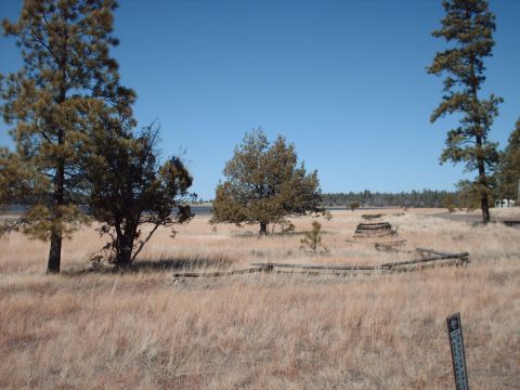 1988 Ford Bronco - A wide landscape shot captures a dry, grassy field dotted with trees, with a calm body of water visible in the distance.