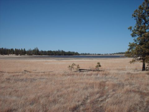 1988 Ford Bronco - A wide expanse of dry grass stretches towards a calm lake, bordered by a distant line of trees.