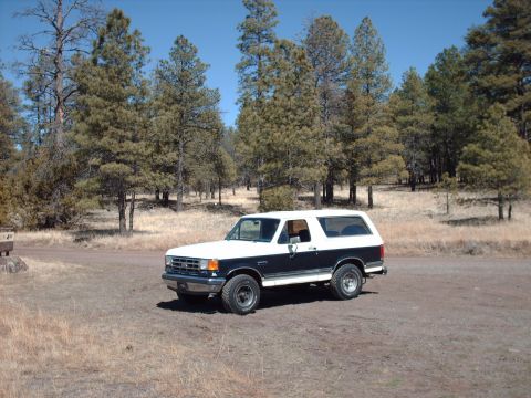 1988 Ford Bronco - A two-tone white and dark blue SUV is parked on a dirt road surrounded by pine trees.