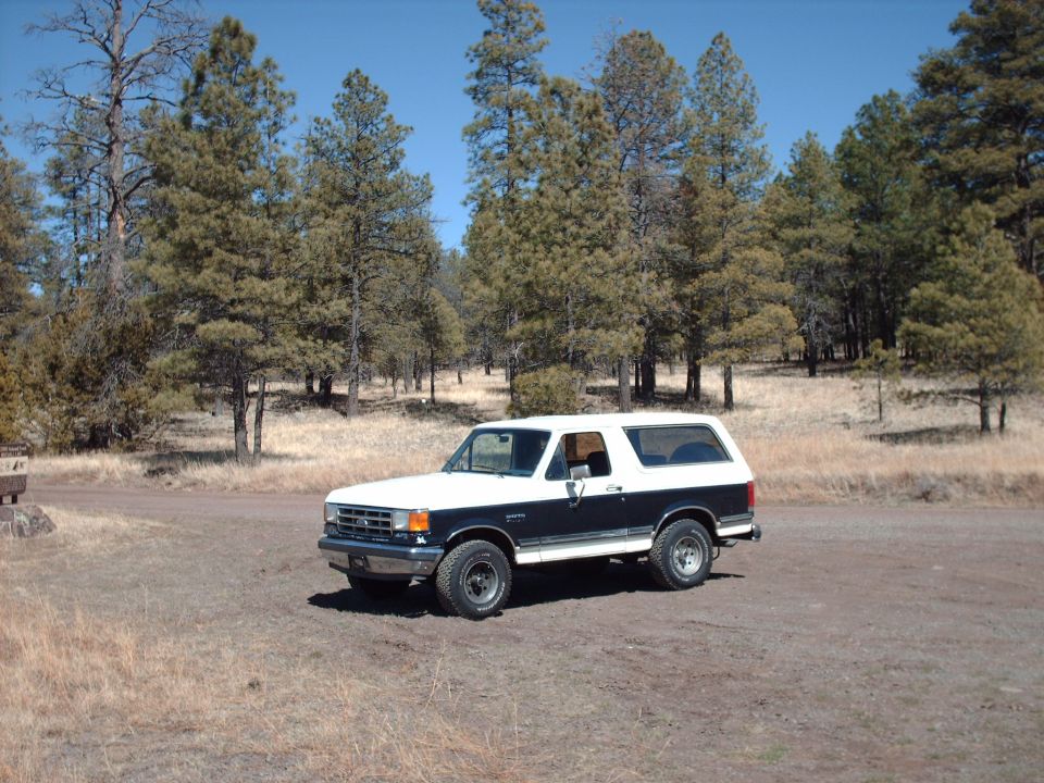Two-tone white and dark blue SUV parked on a dirt road with pine trees in the background