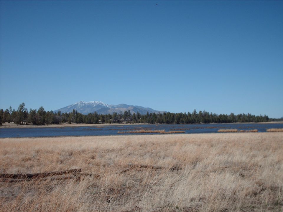 Dry grass field with a lake and snow-capped mountains under a clear blue sky