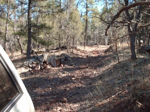 1988 Ford Bronco - A view from inside a vehicle looking out at a rocky, wooded trail.