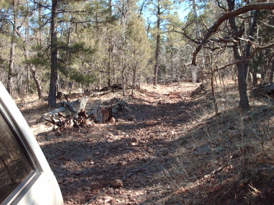Dirt road through a wooded area with trees and rocks