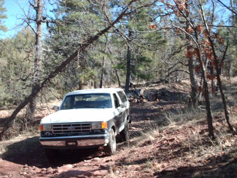 1988 Ford Bronco - A white and grey 1987 Ford Bronco navigates a rocky, wooded trail under a clear blue sky.