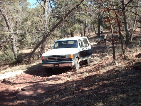1988 Ford Bronco - A two-tone Ford Bronco navigates a wooded off-road trail.