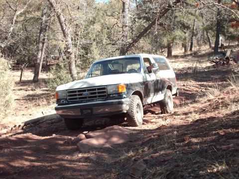 1988 Ford Bronco - This two-tone Ford Bronco navigates a challenging, rocky off-road path through a wooded area.