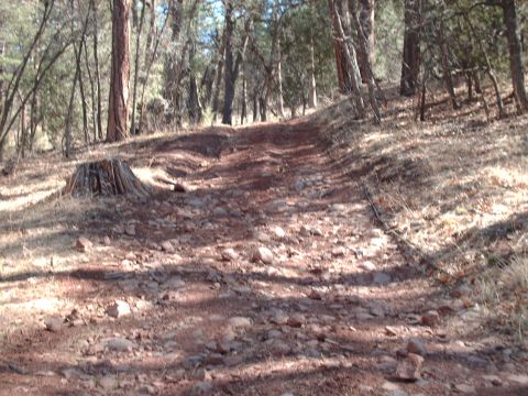 1988 Ford Bronco - A rough, rocky trail winds through a wooded area, suggesting an off-road adventure.