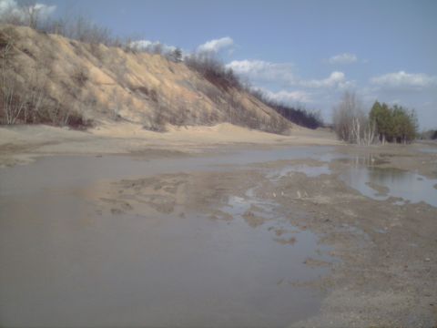 1991 Ford Bronco - A wide view of a muddy, wet landscape with a sand dune and scattered trees under a partly cloudy sky.