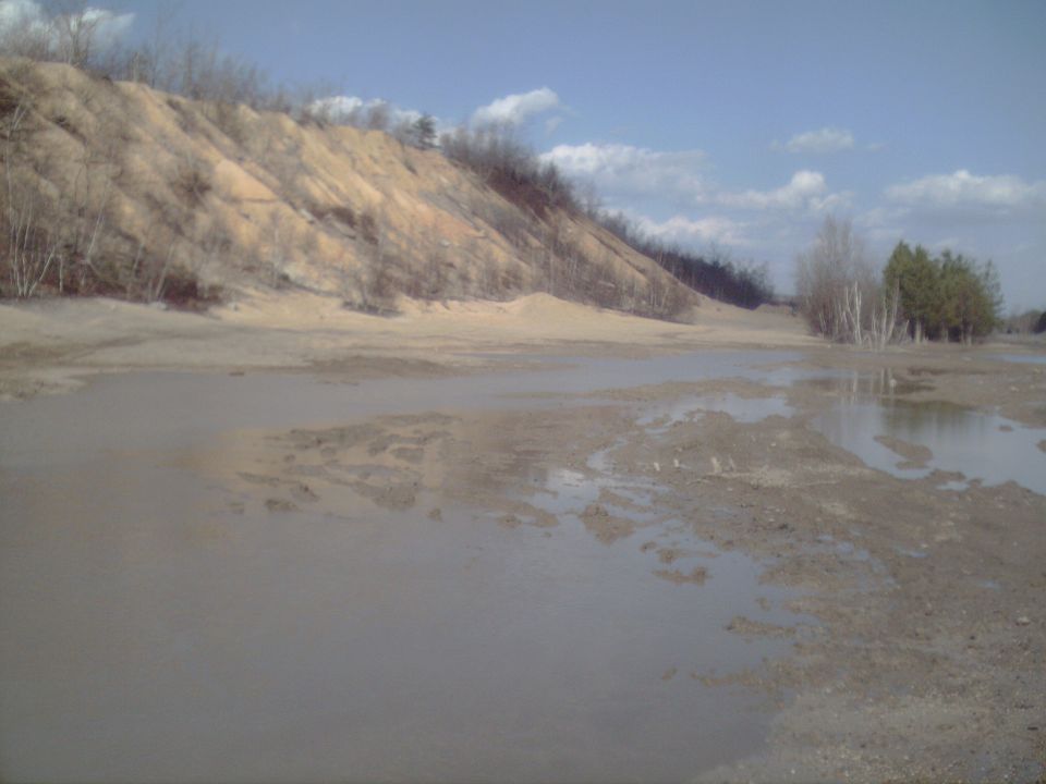 Muddy landscape with sand dune and trees under a blue sky with clouds