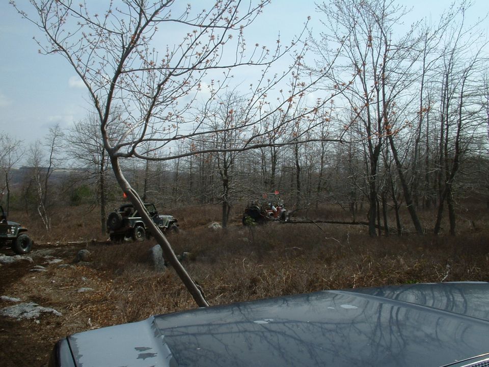 Several off-road vehicles navigate a rocky, wooded terrain under a cloudy sky