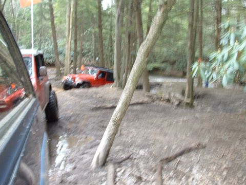 1991 Ford Bronco - Two off-road vehicles navigate a muddy trail through a dense forest.