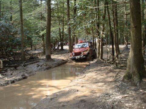 1991 Ford Bronco - Multiple off-road vehicles navigate a muddy trail in a dense forest.