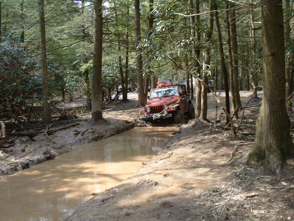 Red Jeep Wrangler driving through muddy water in a forest