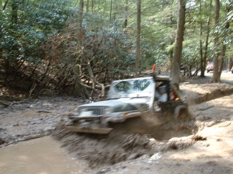 1991 Ford Bronco - A Jeep Wrangler navigates a challenging muddy off-road course surrounded by dense forest.