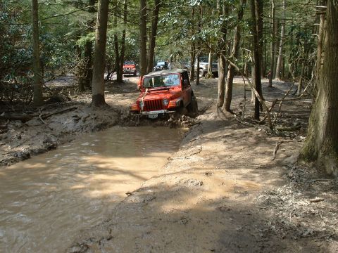 1991 Ford Bronco - Multiple Jeep Wranglers tackle a muddy off-road course in a wooded area.