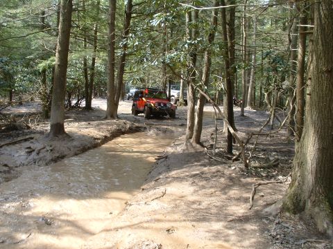 1991 Ford Bronco - Multiple off-road vehicles navigate a muddy path through a dense forest.