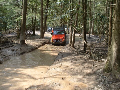 1991 Ford Bronco - Jeep Wrangler navigates a muddy path in a wooded area with another vehicle following.