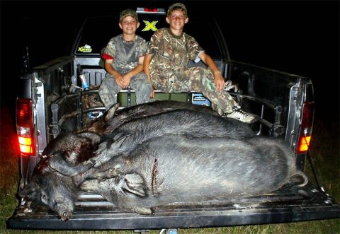 1986 Ford Bronco - Two young hunters pose with their wild hog catch in the bed of a pickup truck at night.