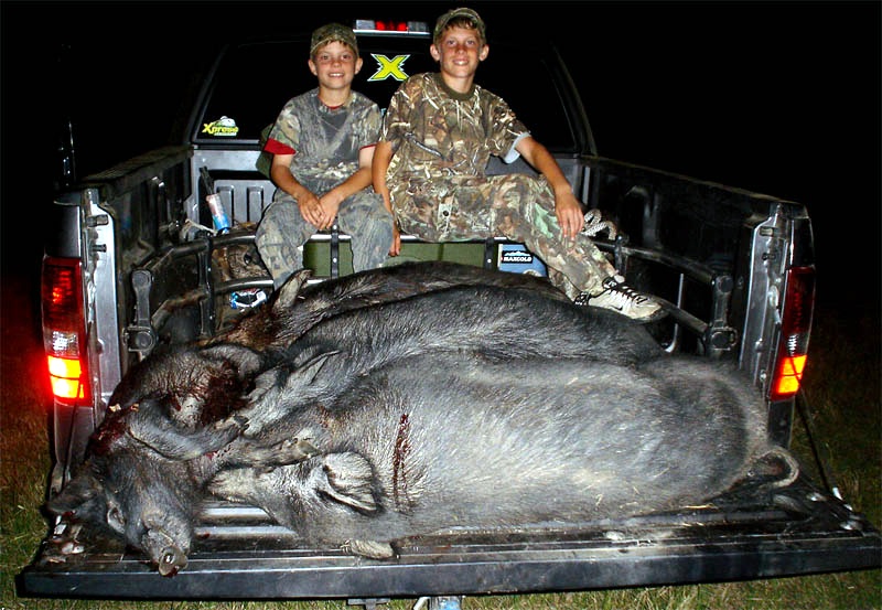 Two boys in camouflage sit in the back of a pickup truck with several wild hogs loaded in the bed