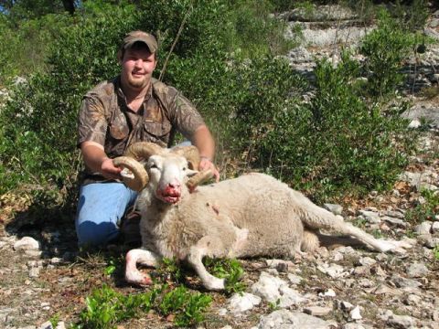 1986 Ford Bronco - A hunter kneels beside a ram with bloody muzzle and large horns in a rocky, vegetated area.
