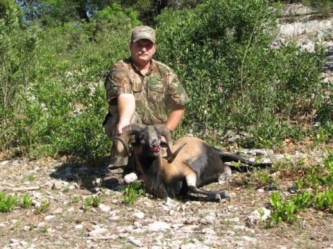 1986 Ford Bronco - A hunter poses with a ram he has apparently hunted, in a natural outdoor setting with dense foliage in the background.