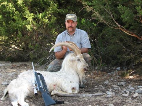 1986 Ford Bronco - A hunter poses with a goat and rifle in a wooded area.