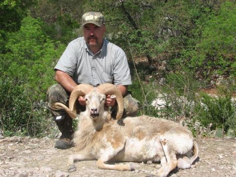 1986 Ford Bronco - Hunter poses with a ram he has captured in a natural outdoor setting.